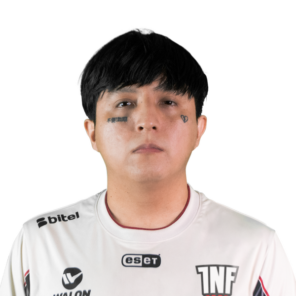 Affliction Player Sticker - TI 2022