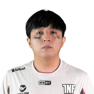 Affliction Player Sticker - TI 2022