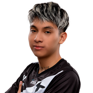 Holo Pakazs Player Sticker - TI 2022