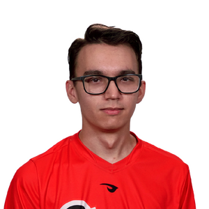 Husky Player Sticker - TI 2022