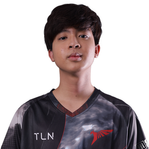 23savage Player Sticker - TI 2022