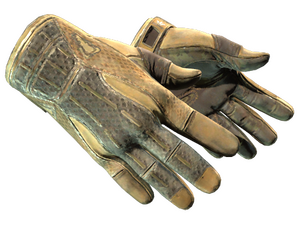 ★ Sport Gloves | Arid
