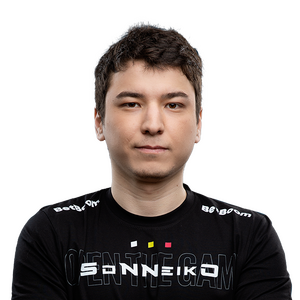 SoNNeikO Player Sticker - TI 2022