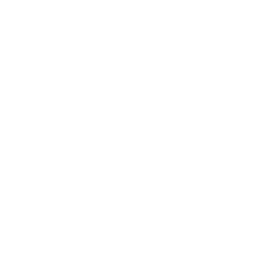 Gold Tundra Esports Team Sticker - TI 2022