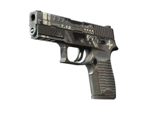 P250 | Re.built