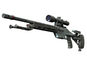 SSG 08 | Dezastre