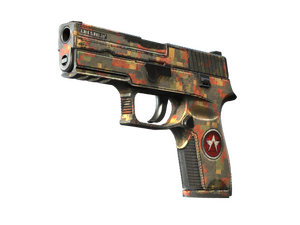 P250 | Red Rock