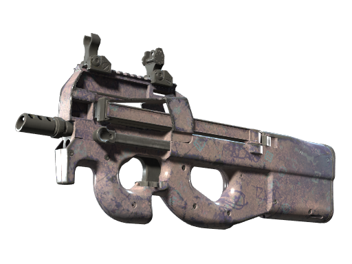 P90 | Wash me (Well-Worn)