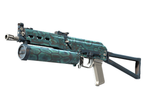 PP-Bizon | Cold Cell