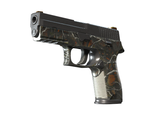 P250 | Small Game (Well-Worn)