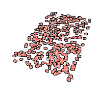 Rose Pedals Rug