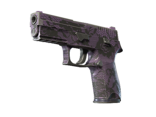 P250 | Plum Netting (Well-Worn)