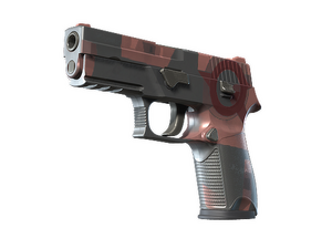 P250 | Constructivist