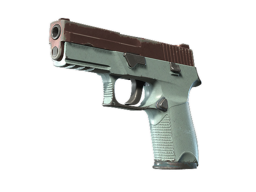 P250 | Copper Oxide (Well-Worn)