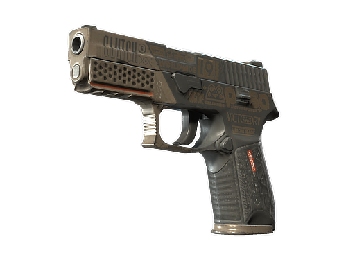 P250 | Bullfrog (Well-Worn)