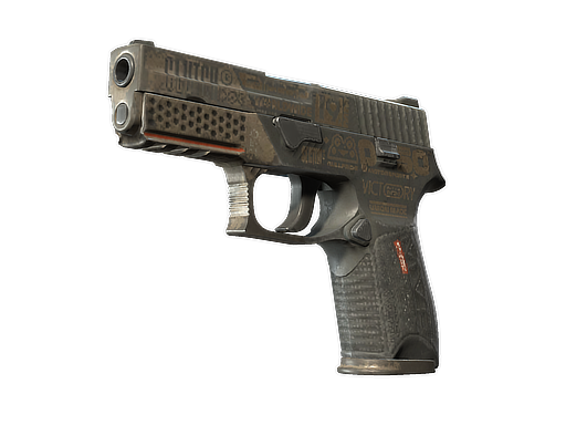 P250 | Bullfrog (Battle-Scarred)