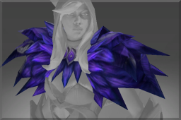 Shoulders of the Black Wind Raven