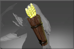 Barrel Quiver