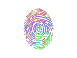 Sticker | Evidence (Holo)