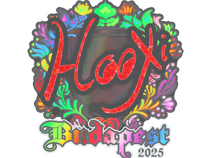 Sticker | HooXi (Holo) | Budapest 2025