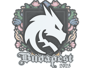Sticker | Team Spirit | Budapest 2025