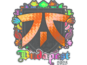 Sticker | fnatic (Holo) | Budapest 2025