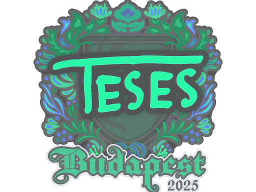 Sticker | TeSeS | Budapest 2025
