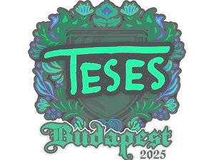 Sticker | TeSeS | Budapest 2025