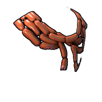 Sausages Poncho