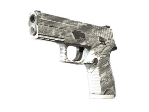 P250 | Sleet (Minimal Wear)