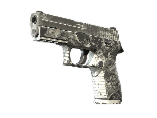 P250 | Sleet (Battle-Scarred)