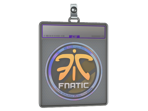 Sticker Slab | Fnatic (Holo) | Cologne 2014