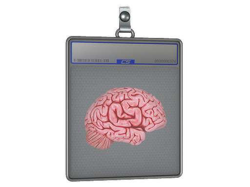 Sticker Slab | CS On The Mind
