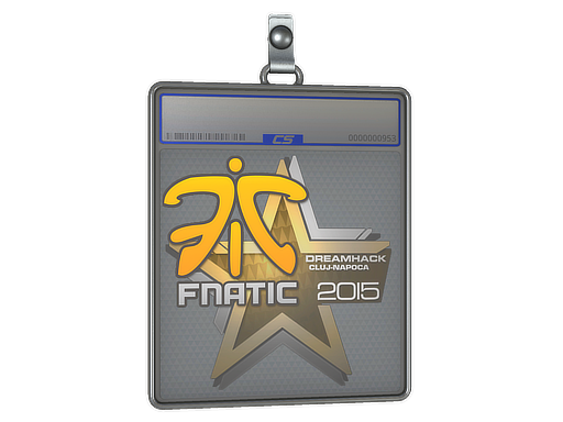 Sticker Slab | Fnatic | Cluj-Napoca 2015
