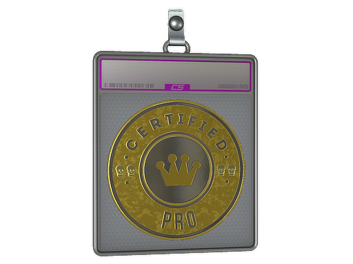 Sticker Slab | The Pro (Foil)