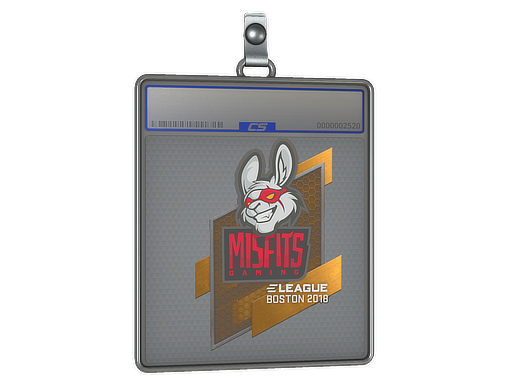Sticker Slab | Misfits Gaming | Boston 2018