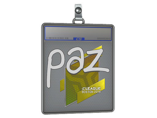 Sticker Slab | paz | Boston 2018