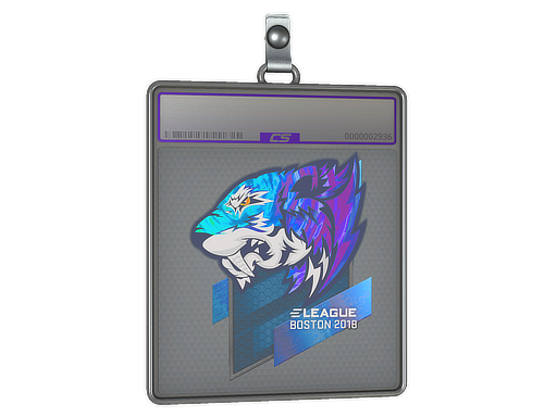 Sticker Slab | Flash Gaming (Holo) | Boston 2018