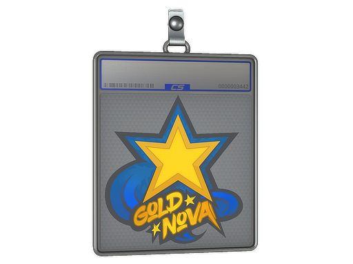 Sticker Slab | Gold Nova