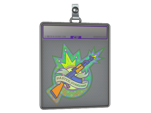 Sticker Slab | Master Guardian (Holo)