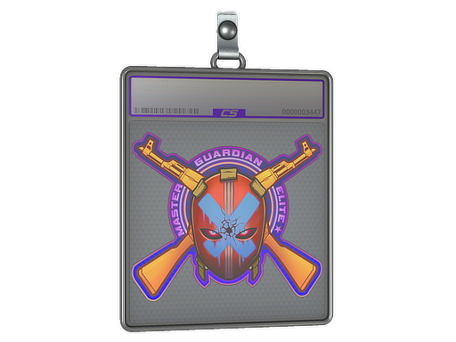 Sticker Slab | Master Guardian Elite (Holo)
