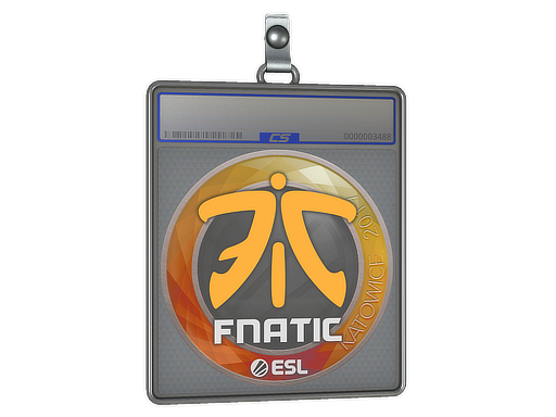 Sticker Slab | Fnatic | Katowice 2019
