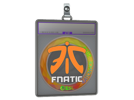 Sticker Slab | Fnatic (Holo) | Katowice 2019