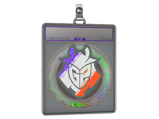 Sticker Slab | G2 Esports (Holo) | Katowice 2019