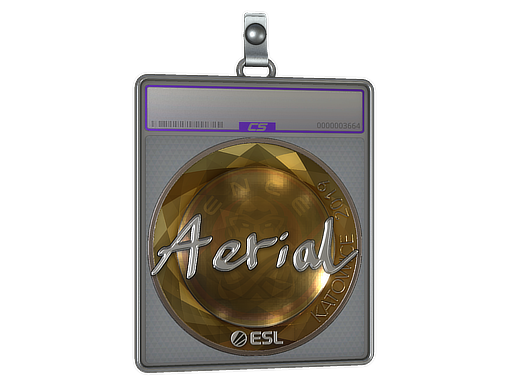 Sticker Slab | Aerial (Foil) | Katowice 2019