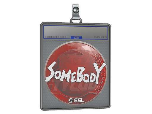Sticker Slab | somebody | Katowice 2019