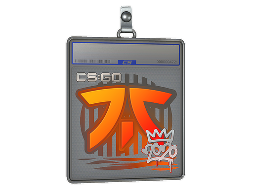 Sticker Slab | Fnatic | 2020 RMR