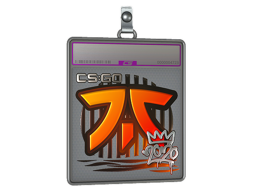 Sticker Slab | Fnatic (Foil) | 2020 RMR