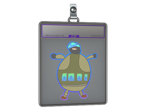 Sticker Slab | Poorly Drawn IDF (Holo)