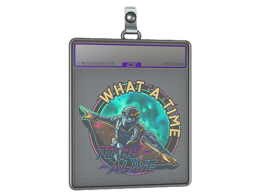 Sticker Slab | Wingsuit (Holo)